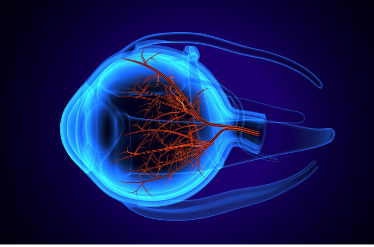 Traumatic Optic Neuropathy
